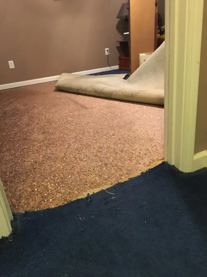 Carpet pad removal revealing water damage during Water Mitigation Services in Tredyffrin