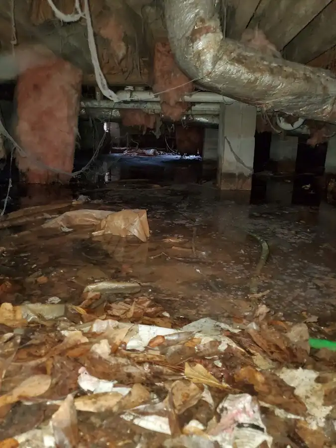 Crawl space flood assessment for Commercial Water Damage Restoration in Tredyffrin